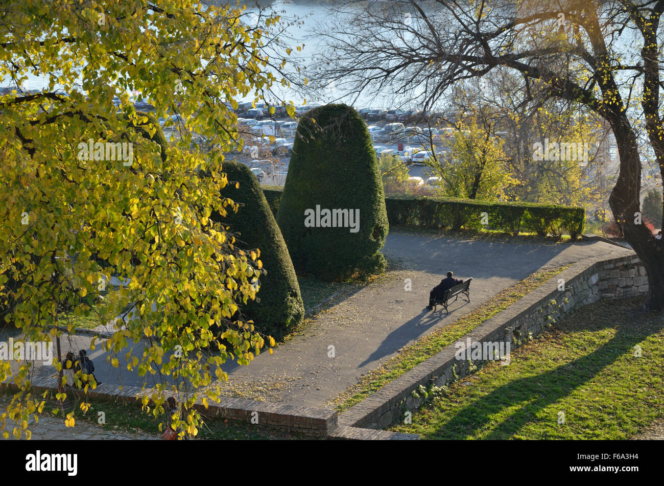 Lonely man sitting on bench in a park Stock Photo - Alamy