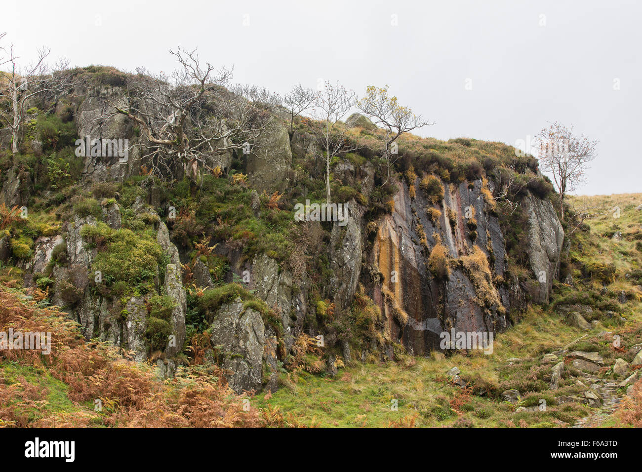 Rocky outcrop in Snowdonia. Autumn colour from the vegetation covering an attractive rock formation in the National Park. Stock Photo