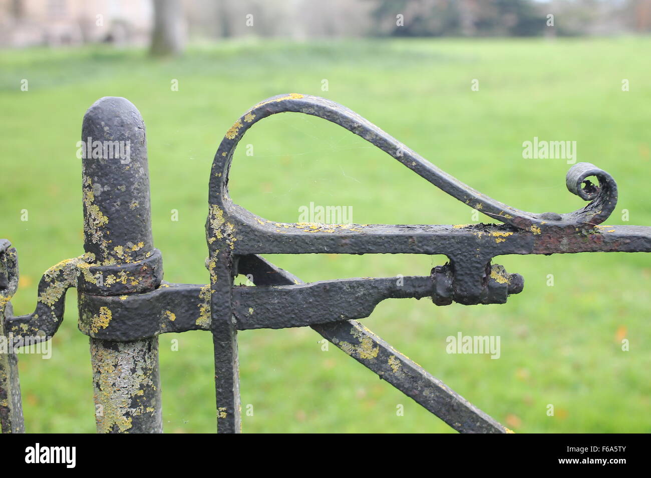 Classic Ironwork wrought iron gate hinge Stock Photo Alamy