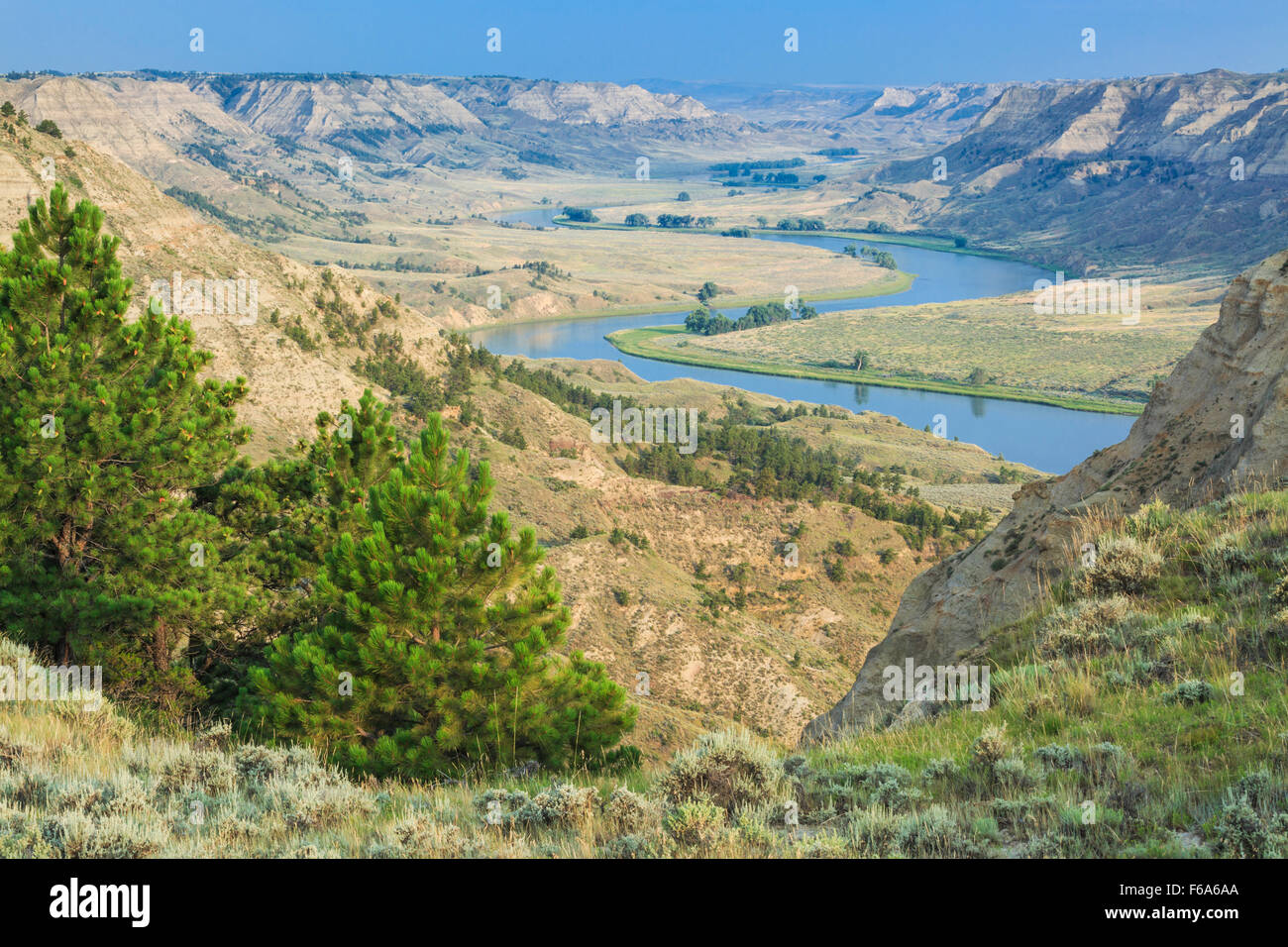 Winifred montana hires stock photography and images Alamy