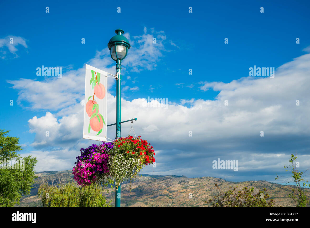 Lamp Post Banner With Peaches Peachland Okanagan Valley British Columbia Canada Stock Photo Alamy Lamp Post Banner With Peaches Peachland Okanagan Valley British Columbia Canada Stock Photo Alamy