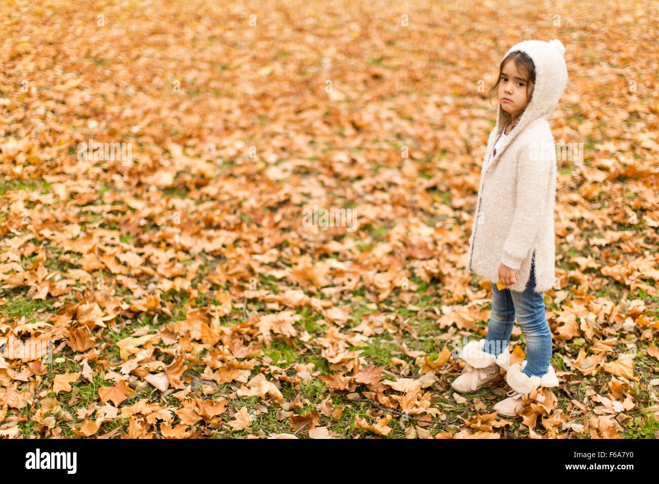 Little girl in the autumn park Stock Photo - Alamy