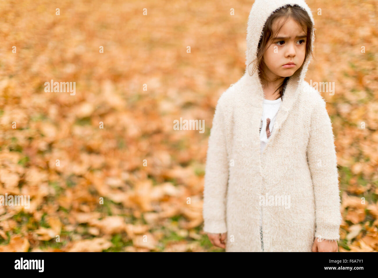 Little girl in the autumn park Stock Photo - Alamy