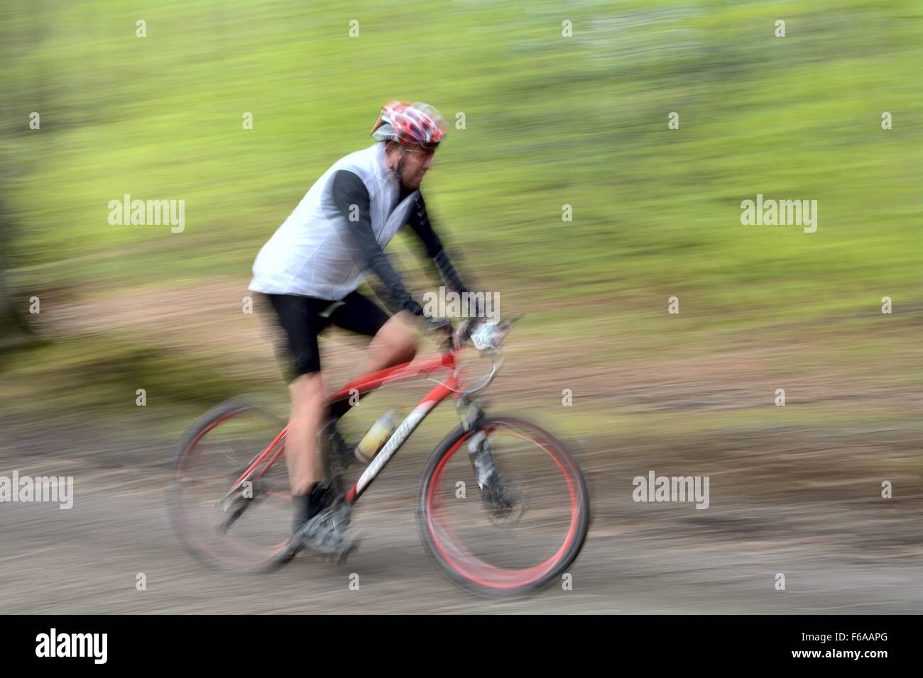 Speeding cyclist in Surrey woodland Stock Photo