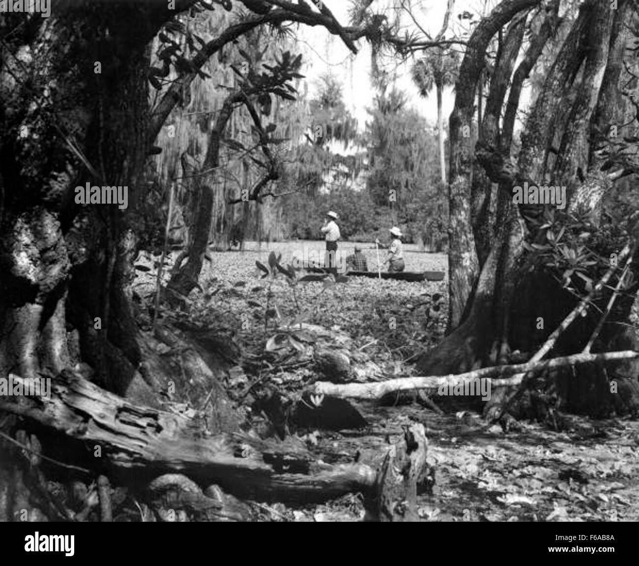 Conservation rangers Black and White Stock Photos & Images - Alamy