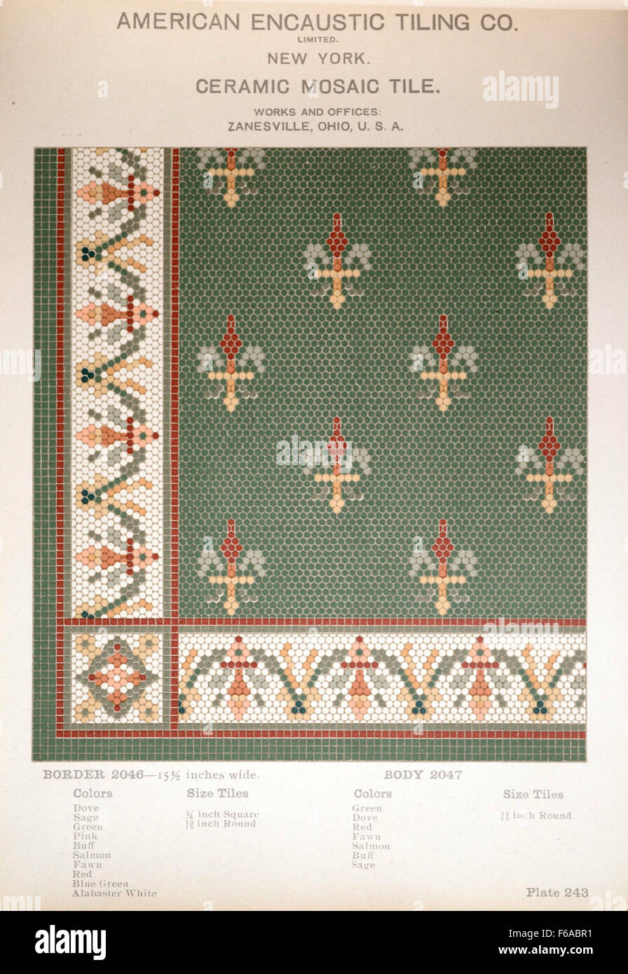 Plate 243 from the American Encaustic Tiling Company displays a