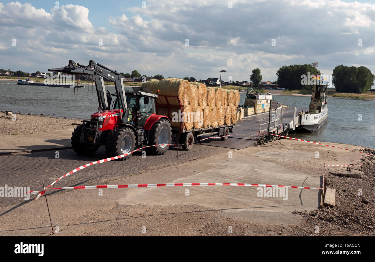 Rhine ferry, Hitdorf, North RhineWestphalia, Germany Stock Photo Alamy