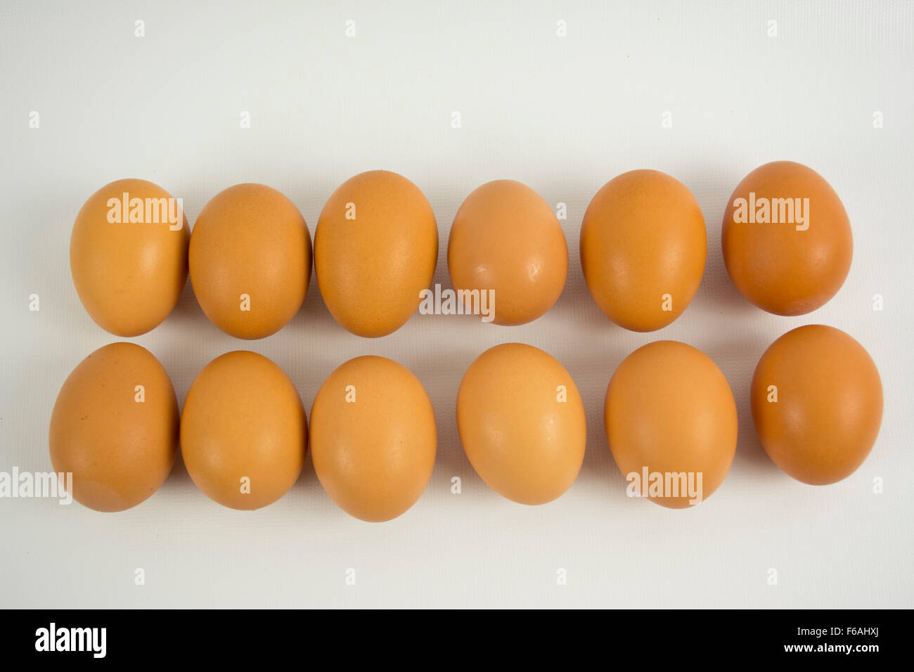 Dozen of eggs Stock Photo Alamy