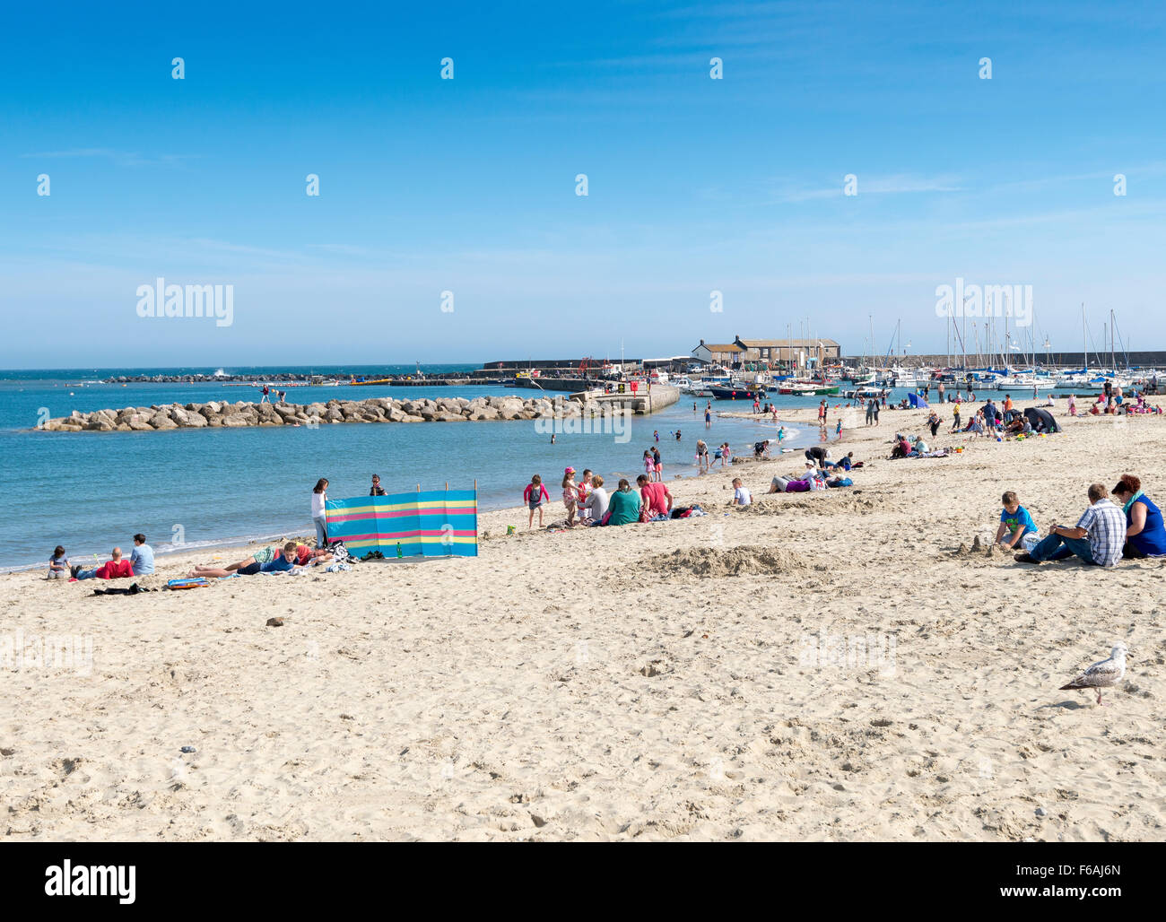 Lyme regis beach hi-res stock photography and images - Alamy