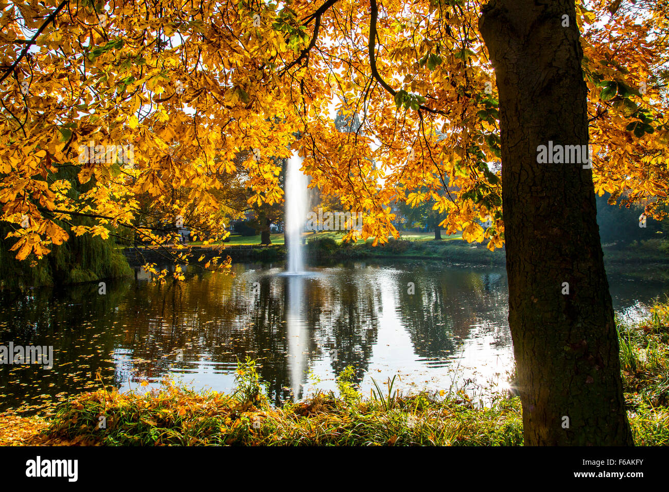 City park in Essen, Germany, pond and water fountain, RWE headquarter office tower building, Stock Photo