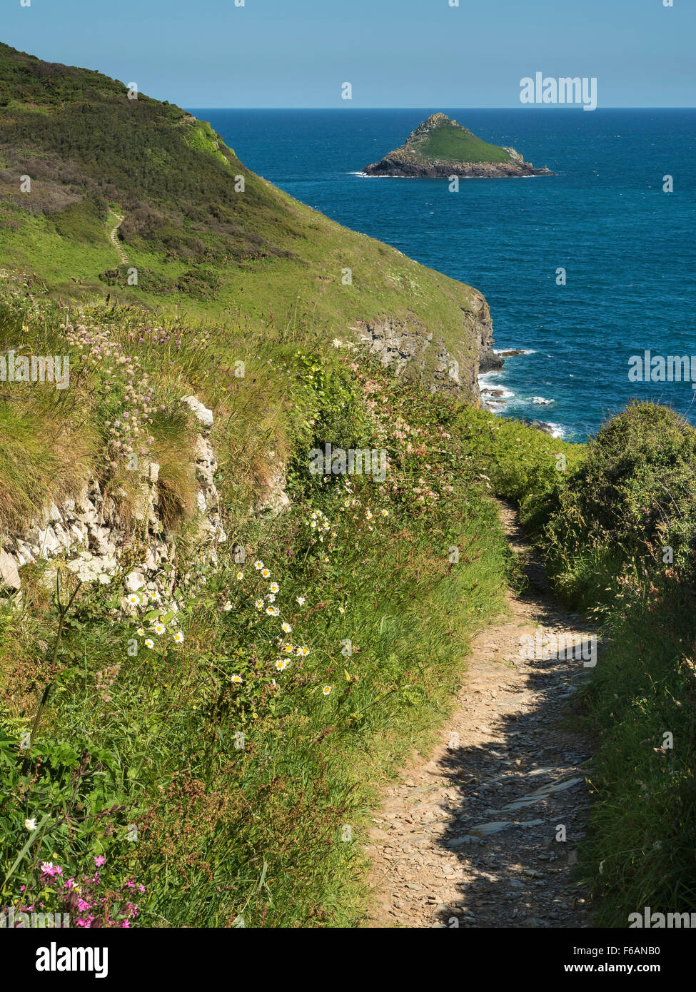 The South West Coast Path near the Rumps and Pentire Point, North Cornwall Stock Photo