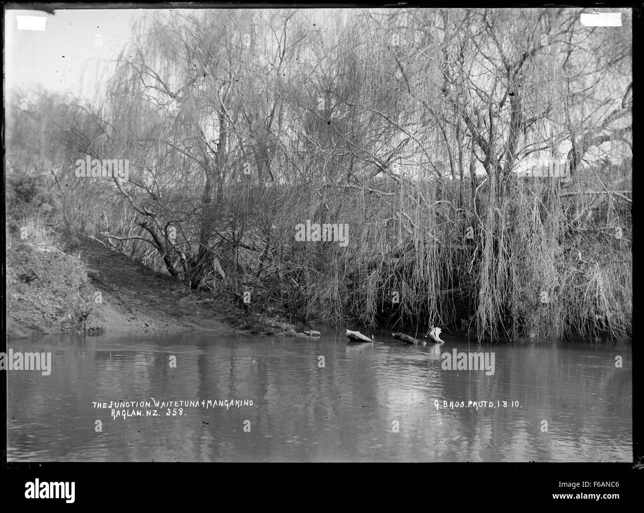 Junction of the Waitetuna River and Mangakino Stream, near Raglan Stock
