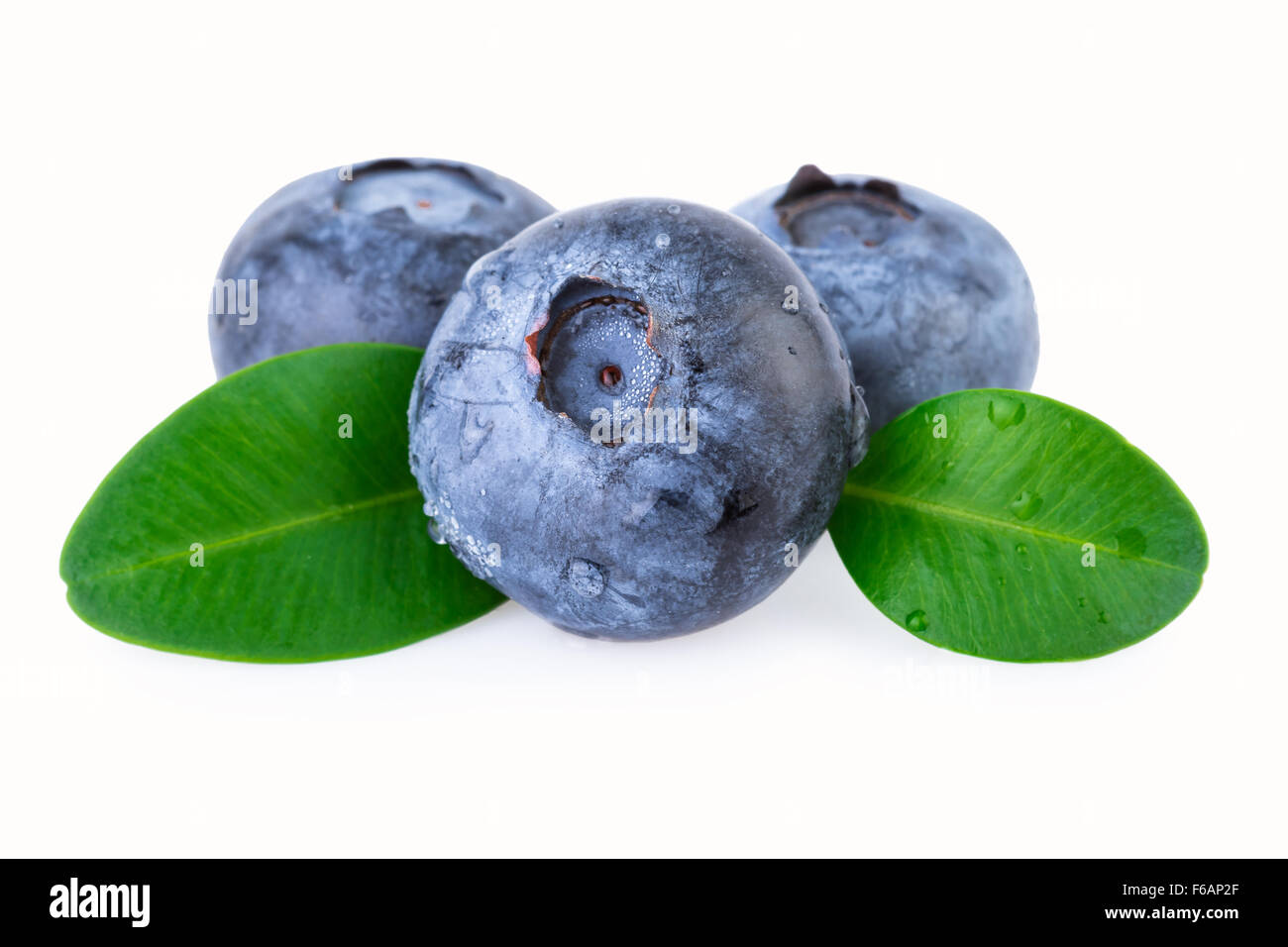 Blueberry with Green Leaf Isolated on White Stock Photo