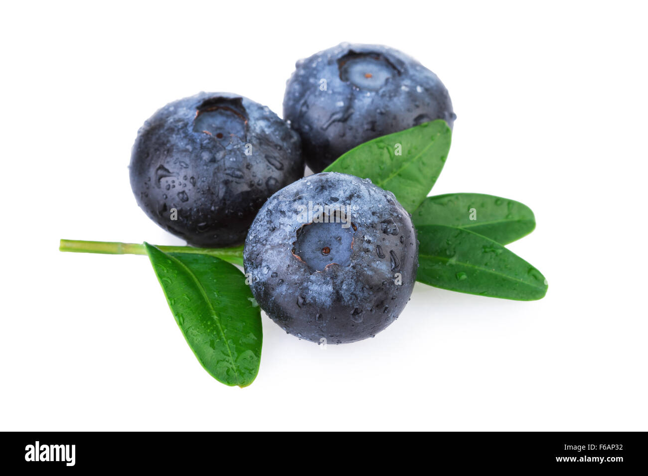 Fresh Blueberries with Leaf Isolated Stock Photo