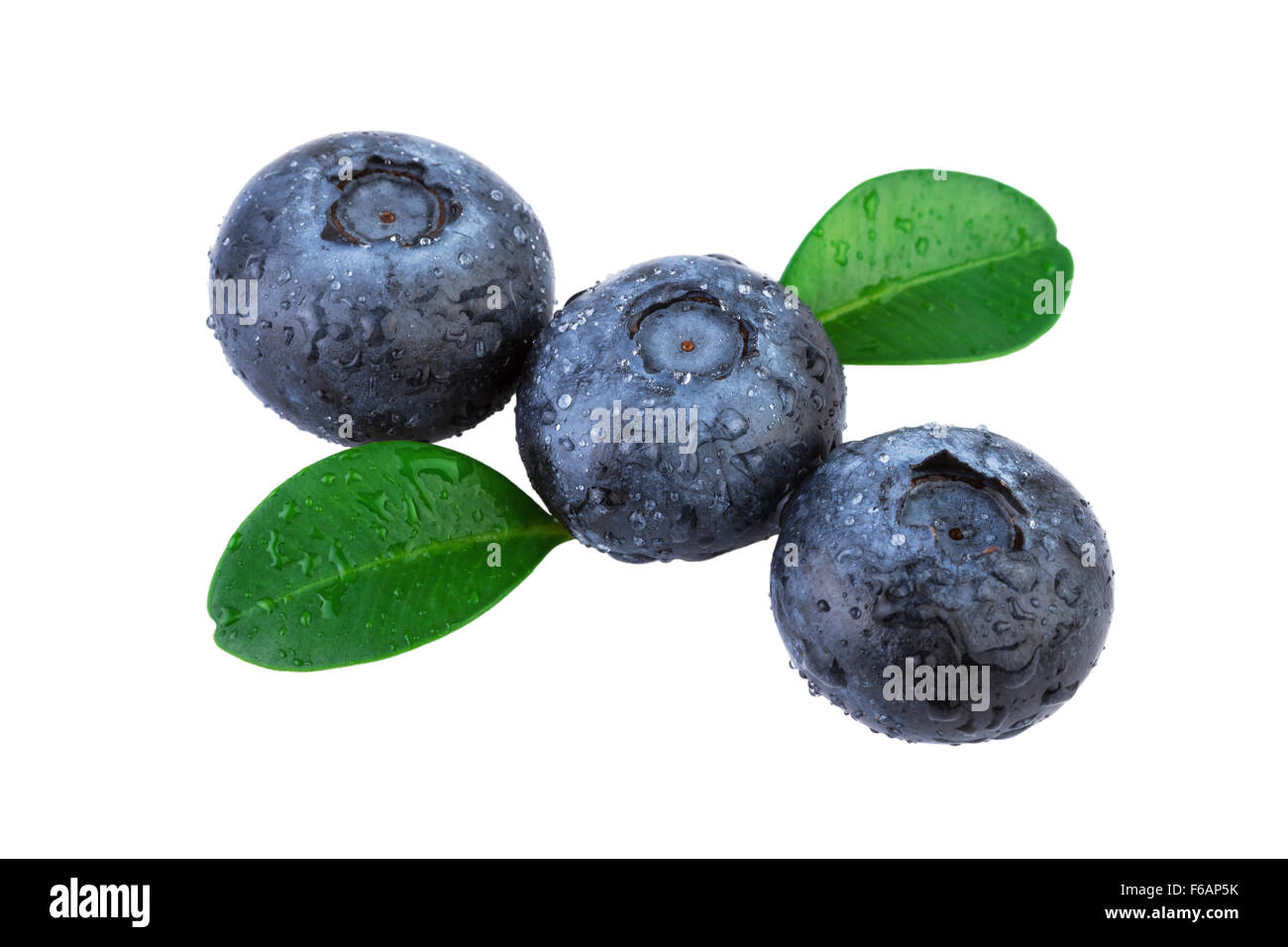 Blueberries Diagonal Composition Isolated Stock Photo