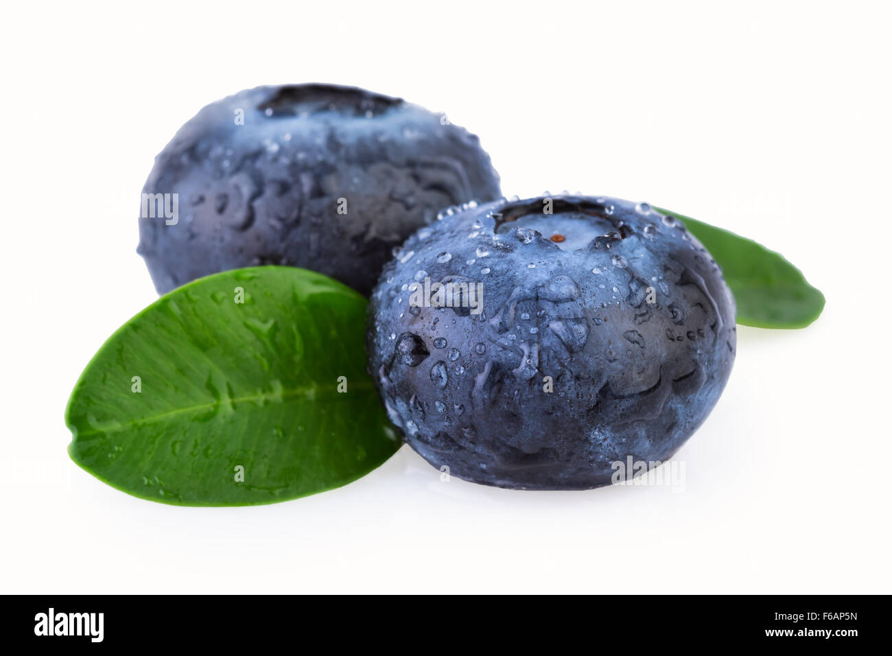 Blueberries Close up Stock Photo