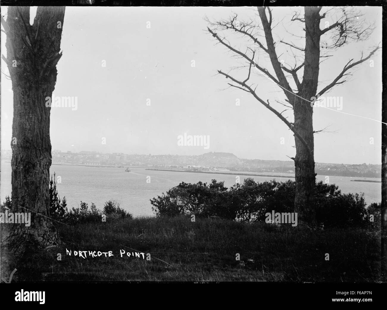 Northcote Point in Auckland is a scenic and historic location, offering ...