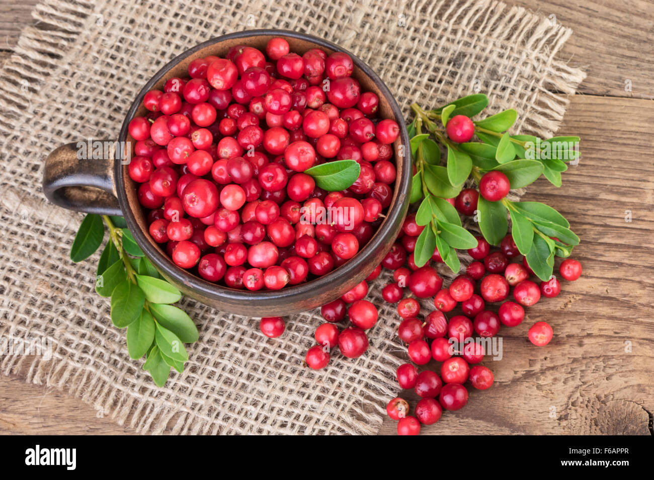 Cup with lingonberry top view Stock Photo