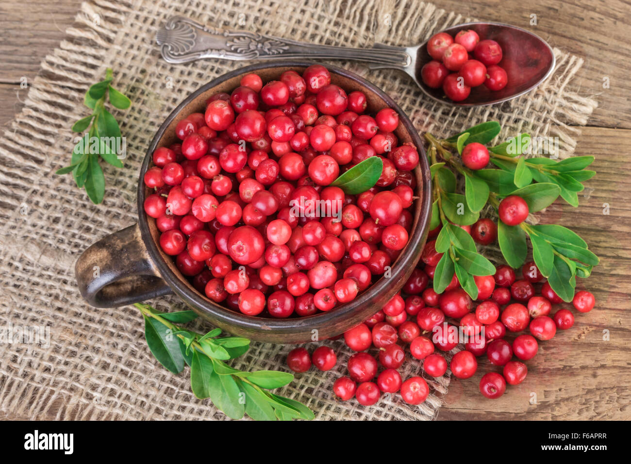 Lingonberry Cranberry over Burlap Background Top View Stock Photo