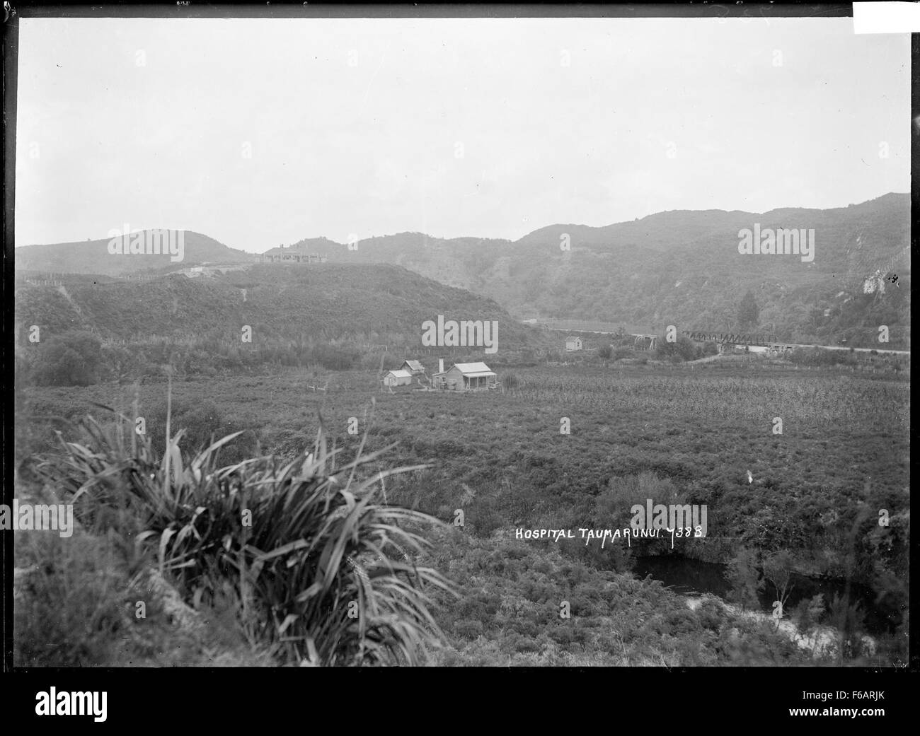 Taumarunui hires stock photography and images Alamy