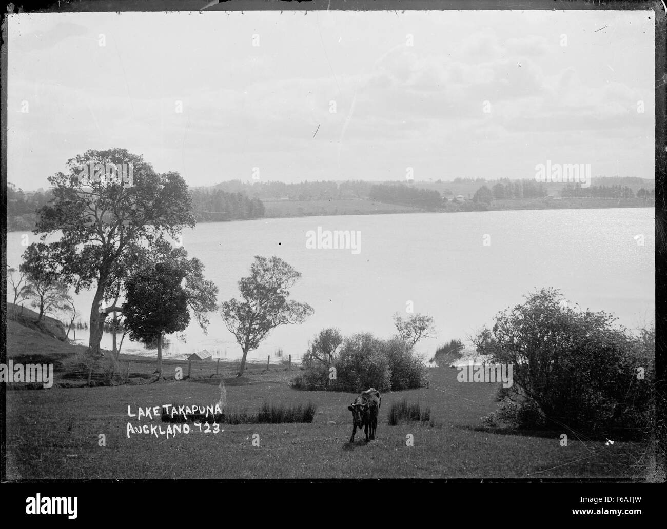 View of Lake Takapuna, Takapuna Stock Photo Alamy