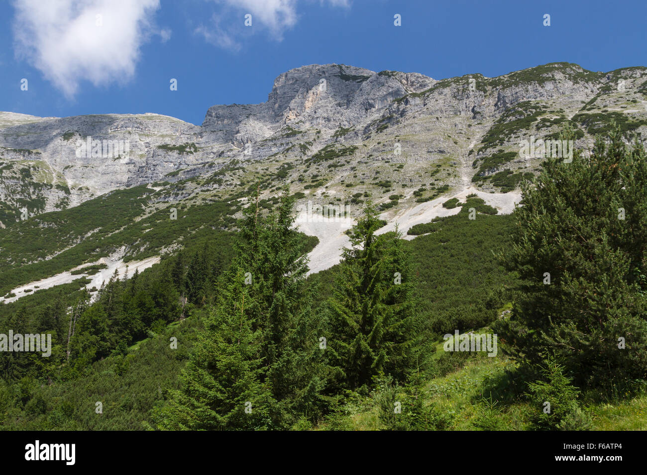 View at the Dogs Head Mountain. Austria, Tirol Stock Photo