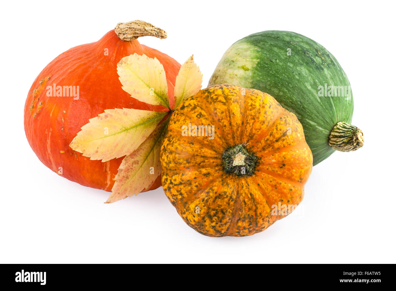pumpkins assorted autumn leaf Stock Photo
