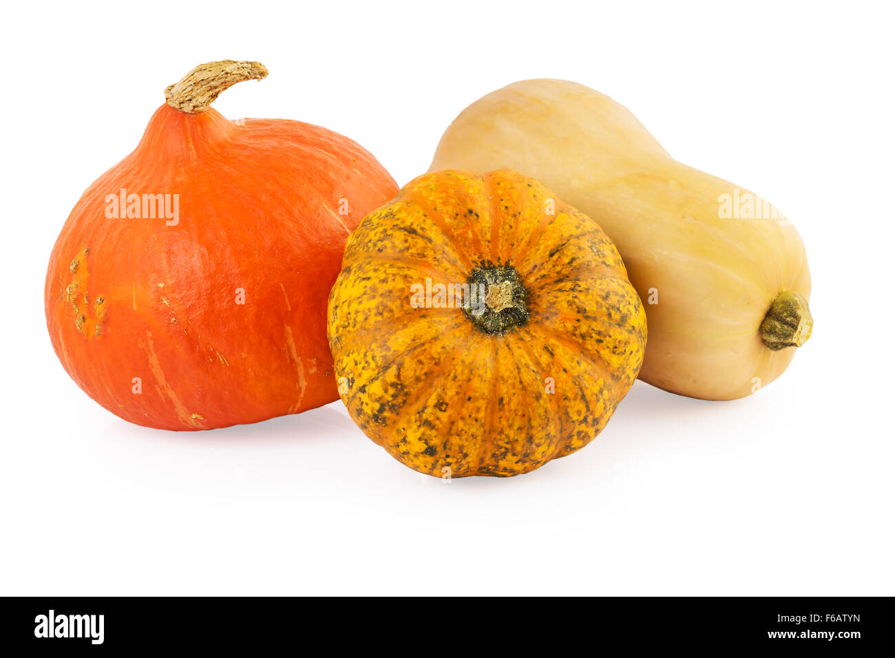 pumpkins assorted Stock Photo