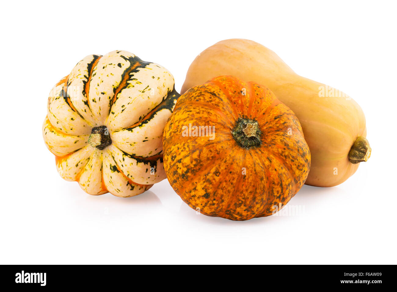 pumpkins assorted mix Stock Photo