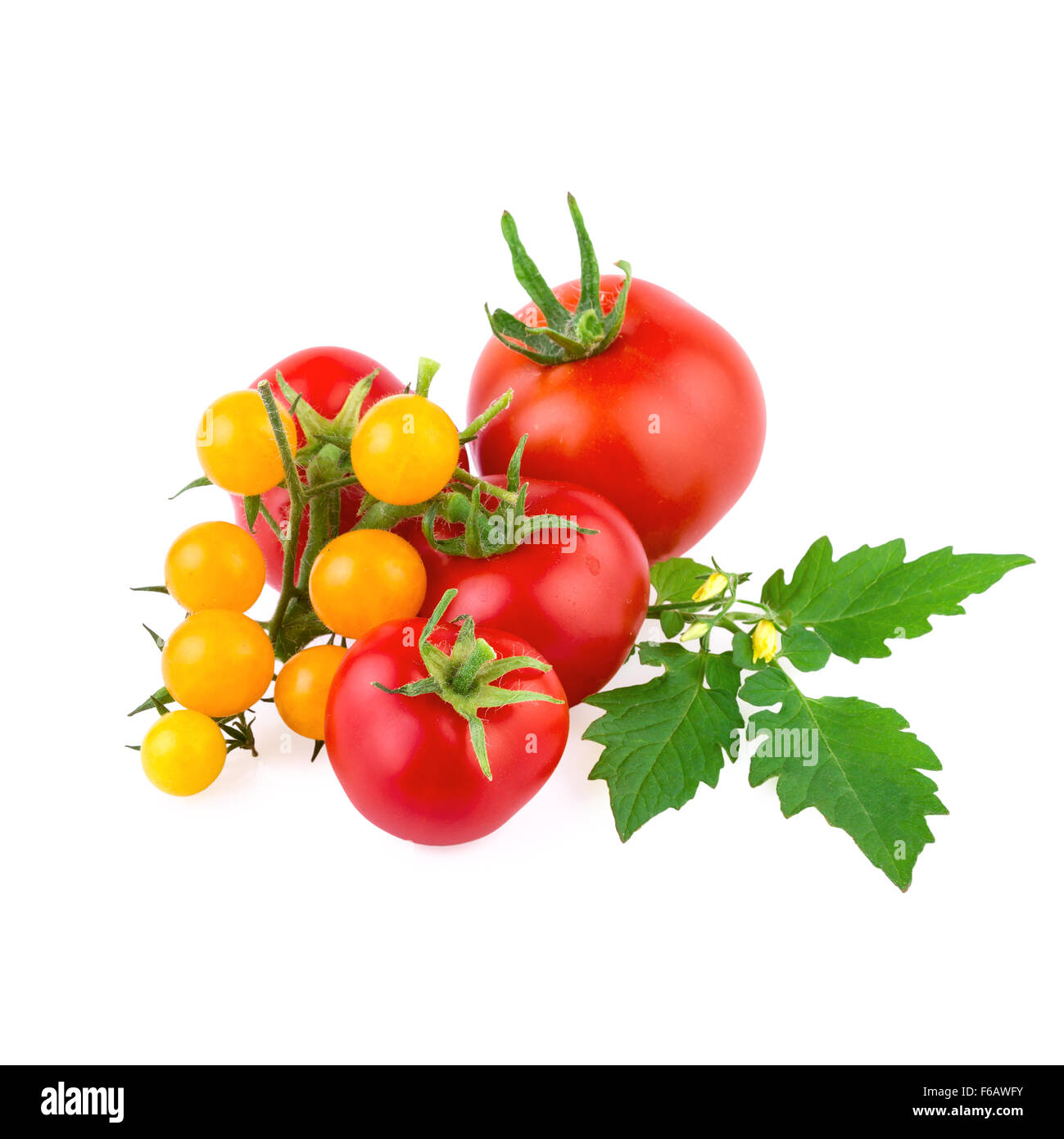 red and yellow organic tomato isolated on white Stock Photo - Alamy