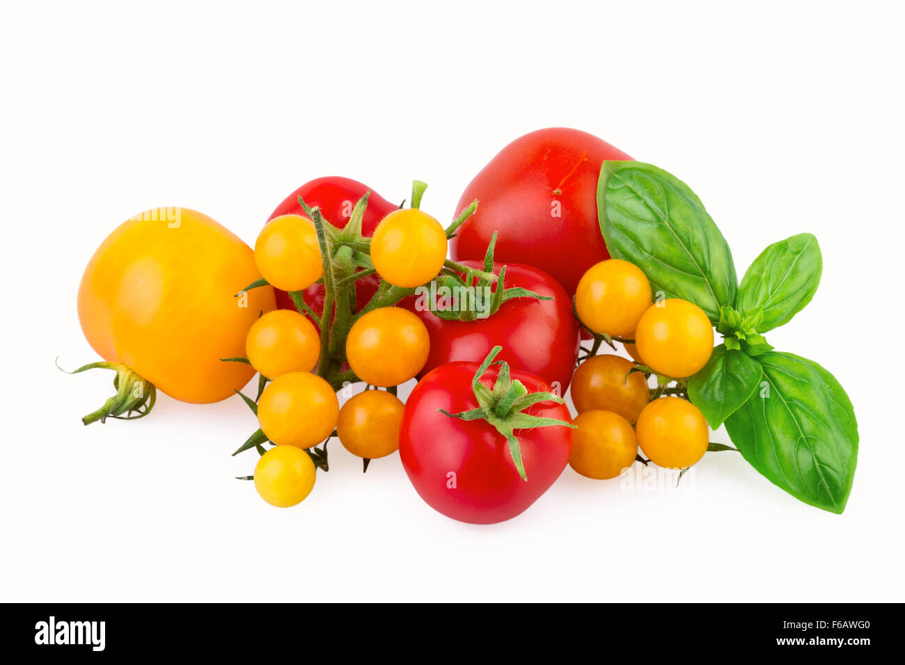 red and yellow tomatoes with basil leaf isolated on white Stock Photo ...