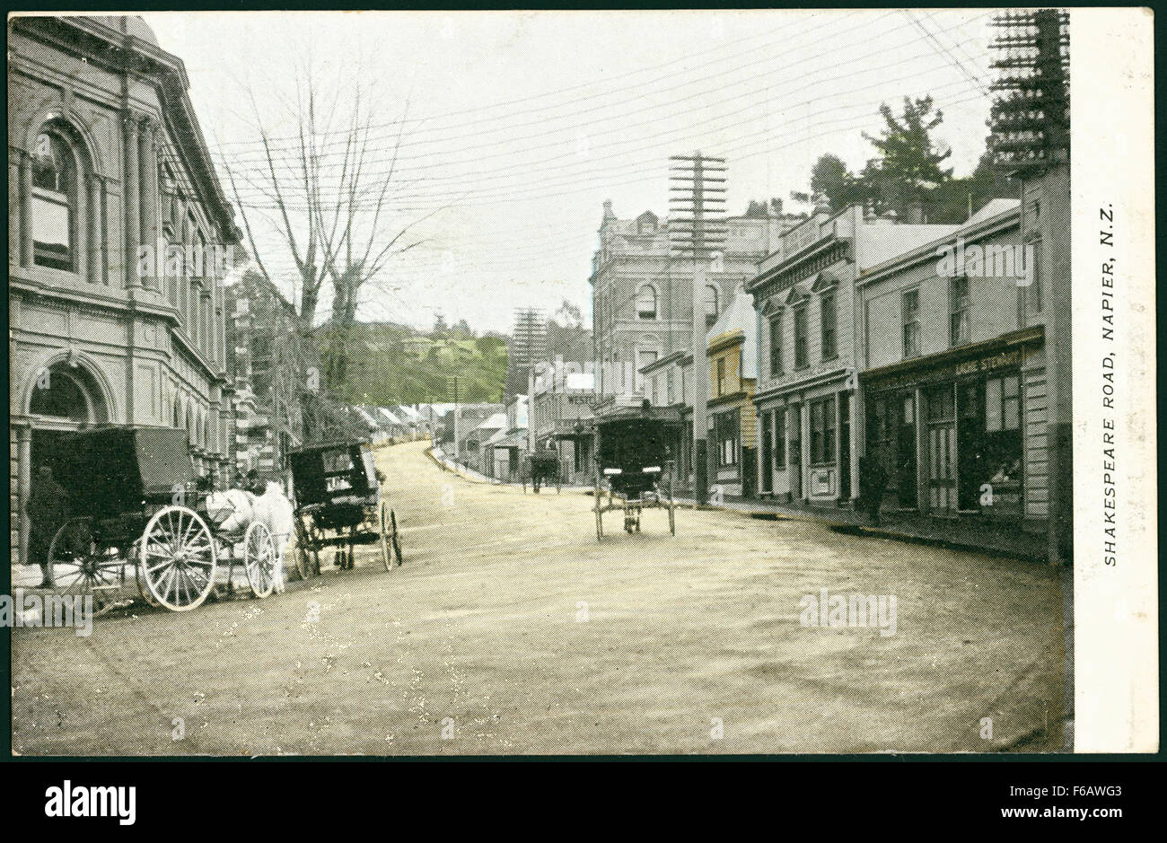 [Postcard] Shakespeare Road, Napier, NZ HB post card [ca 19001910