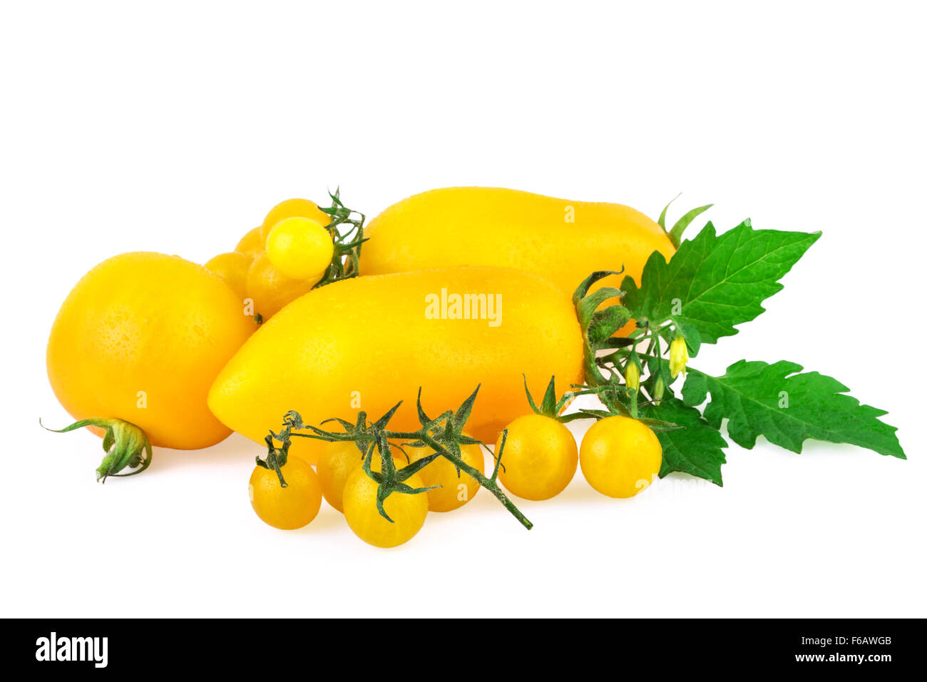 yellow tomato tomatoes with green leaf isolated on white Stock Photo ...