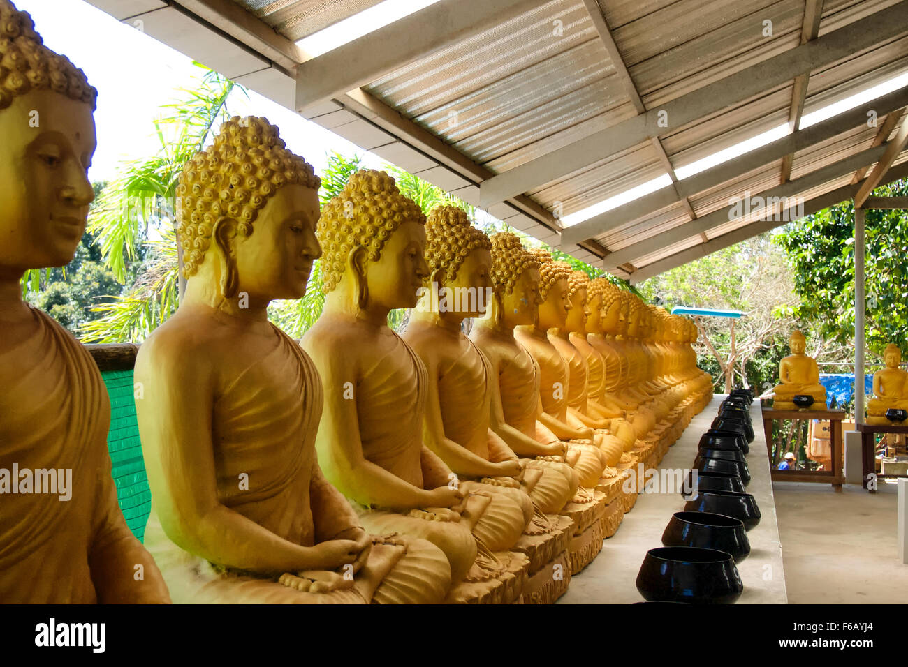 Many Buddhas Stock Photo Alamy