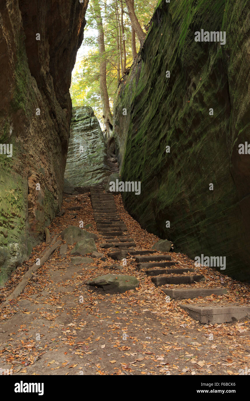Staircase path between boulders in Cantwell Cliffs, Hocking Hills