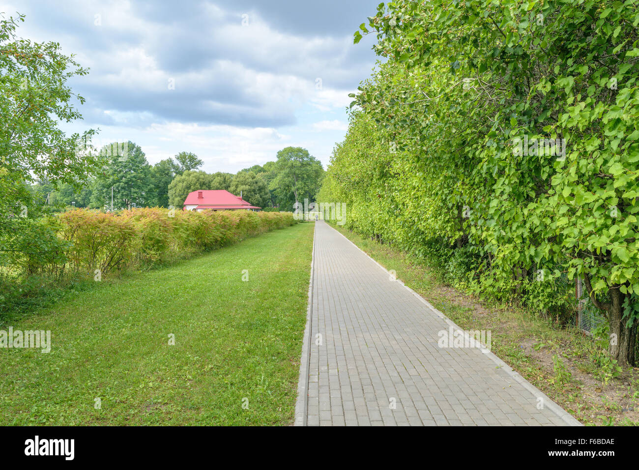 Summer alley in beautiful green park Stock Photo - Alamy