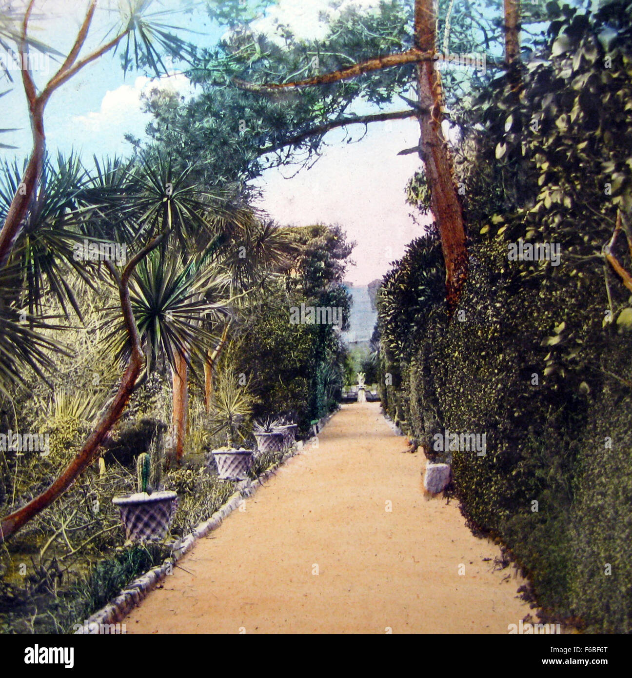 The Long Walk, Tresco Abbey, Isles of Scilly - Victorian period - from a hand tinted magic lantern slide Stock Photo