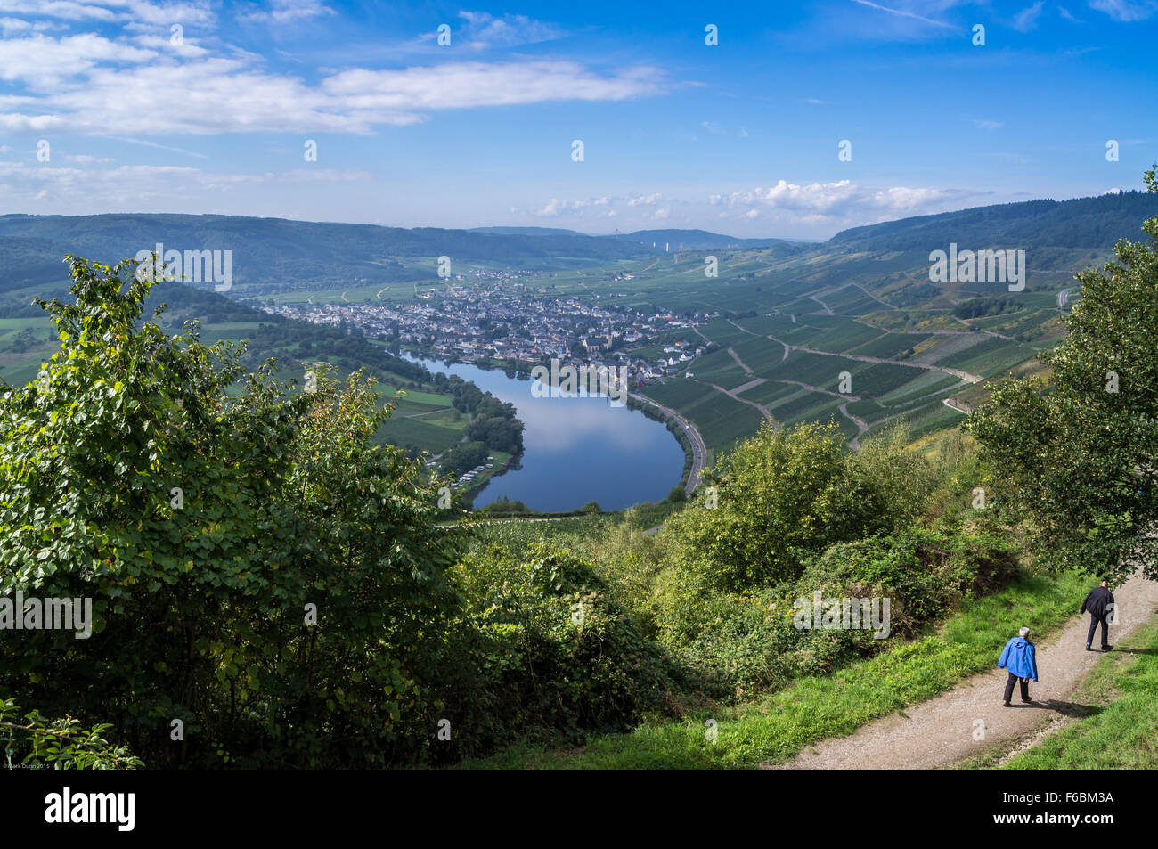 Terraced moselle valley hires stock photography and images Alamy