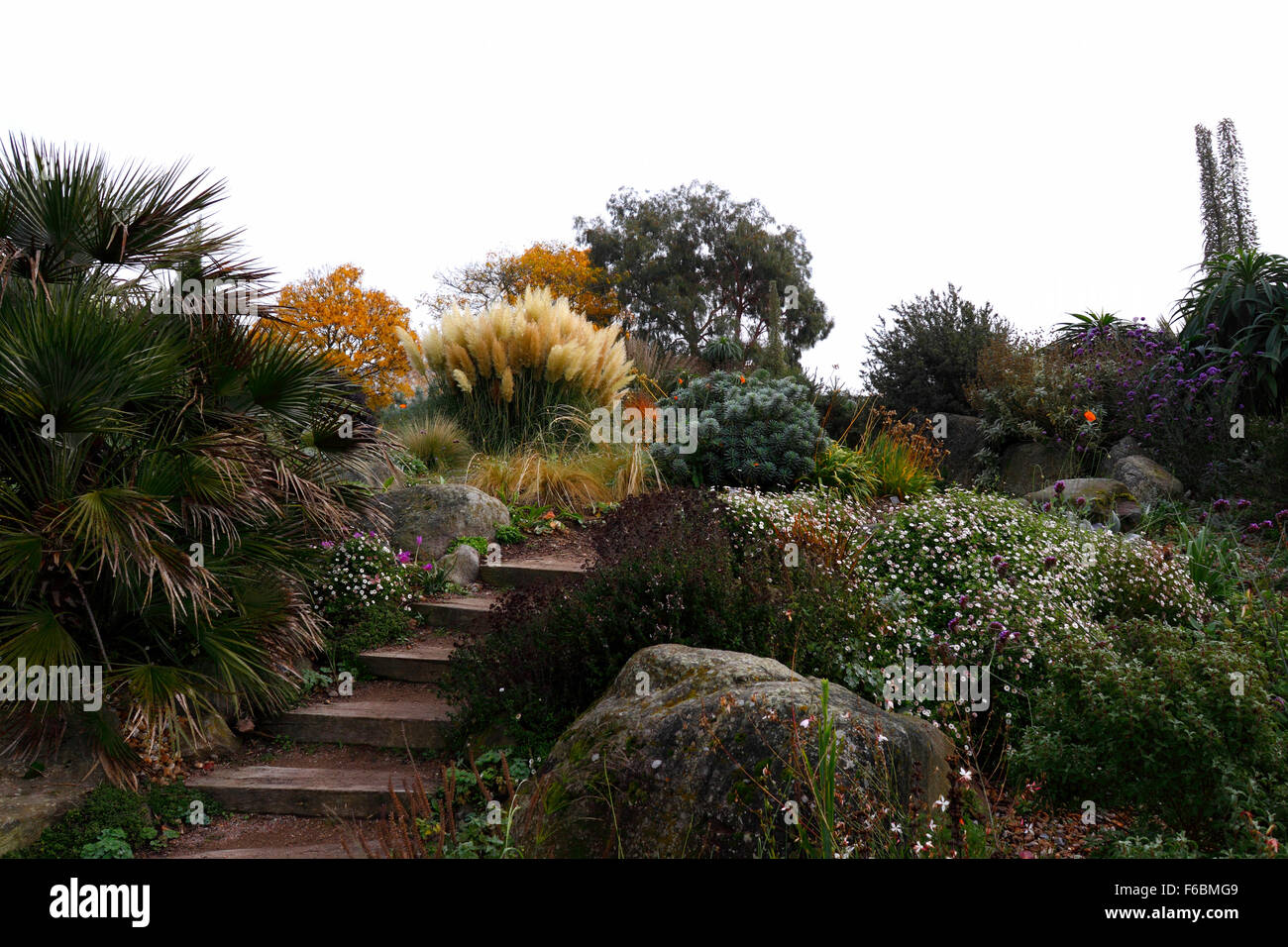 RHS HYDE HALL DRY GARDEN. ESSEX UK. Stock Photo