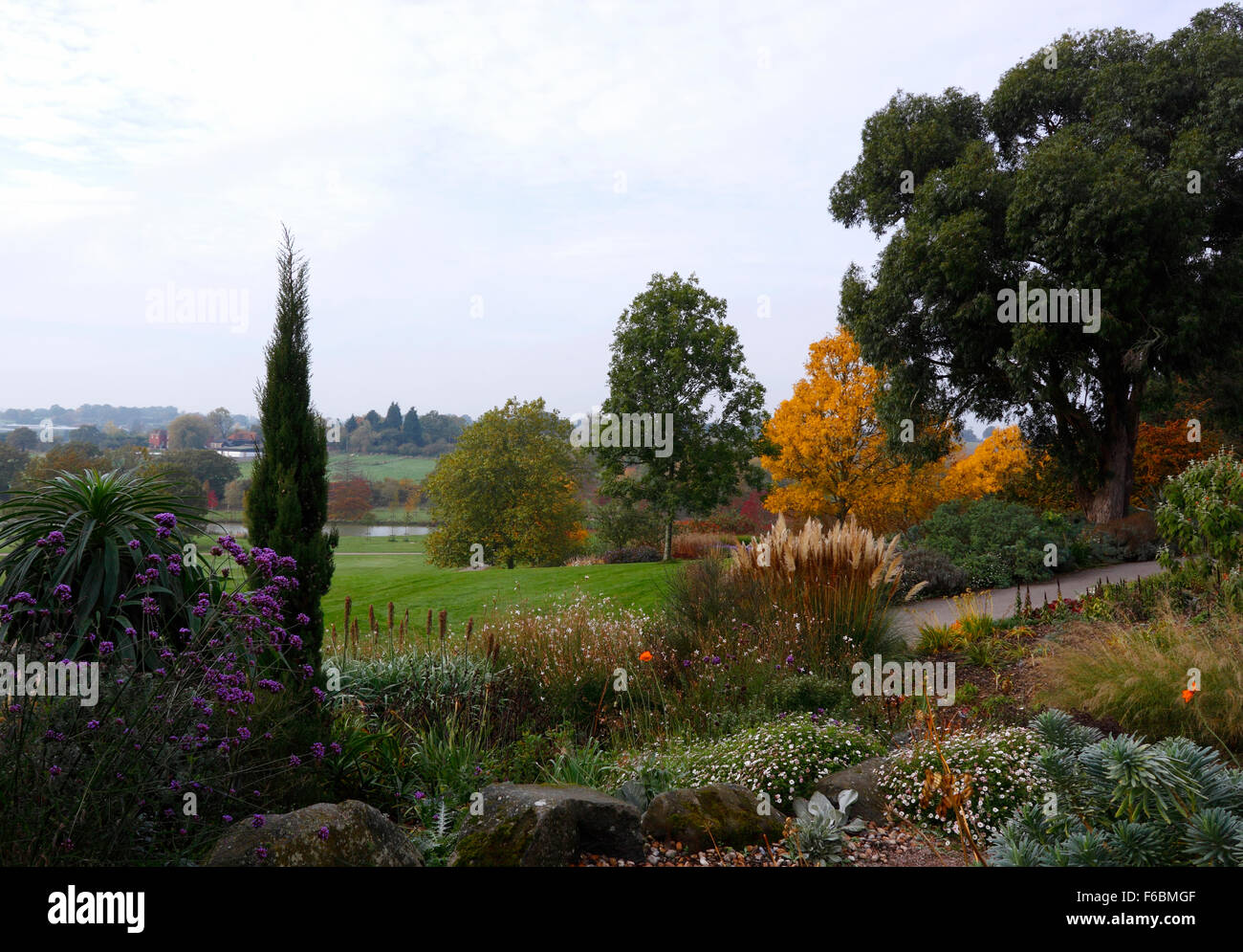 AUTUMN COLOURS AT RHS HYDE HALL GARDEN ESSEX UK. Stock Photo