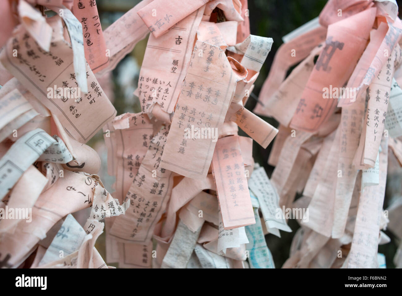 Japan: omikujis in a Shinto shrine in Kanazawa Stock Photo