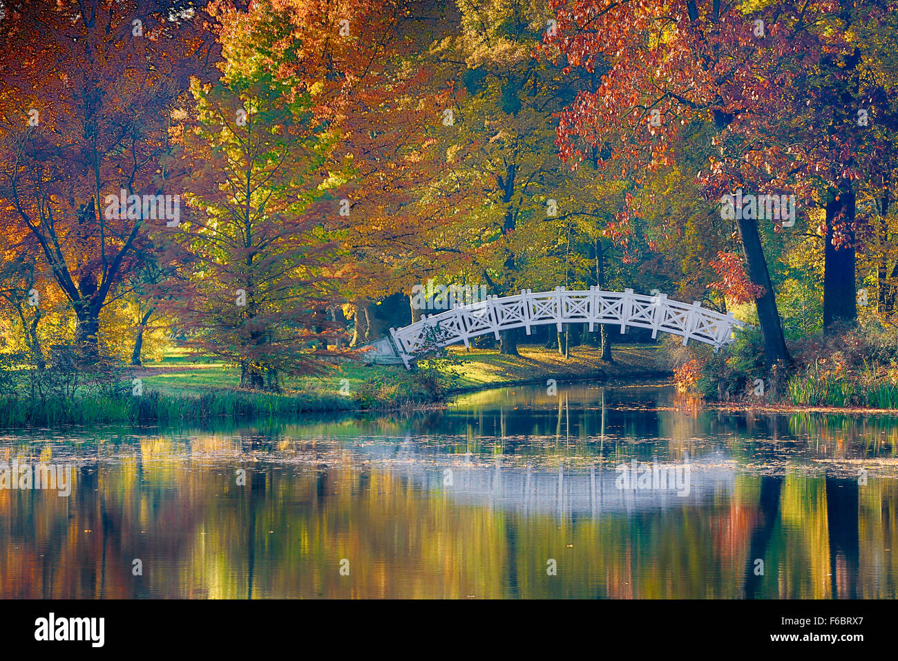 Autumn in Wörlitzer Park, UNESCO World Heritage Garden Kingdom of Dessau-Wörlitz, Saxony-Anhalt, Germany Stock Photo
