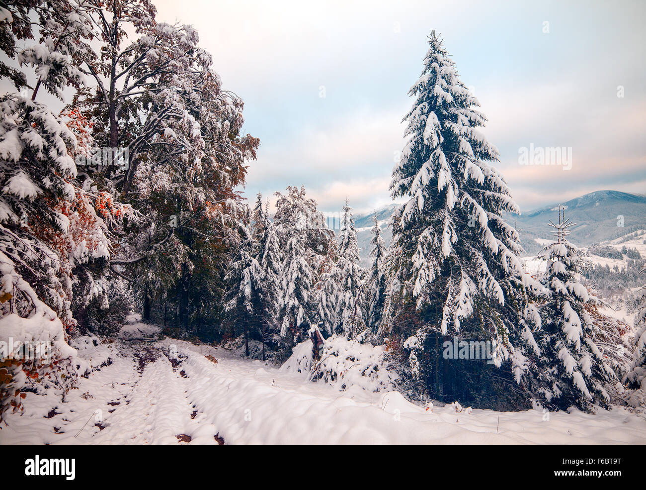 Two seasons - winter and autumn scene in the park Stock Photo - Alamy