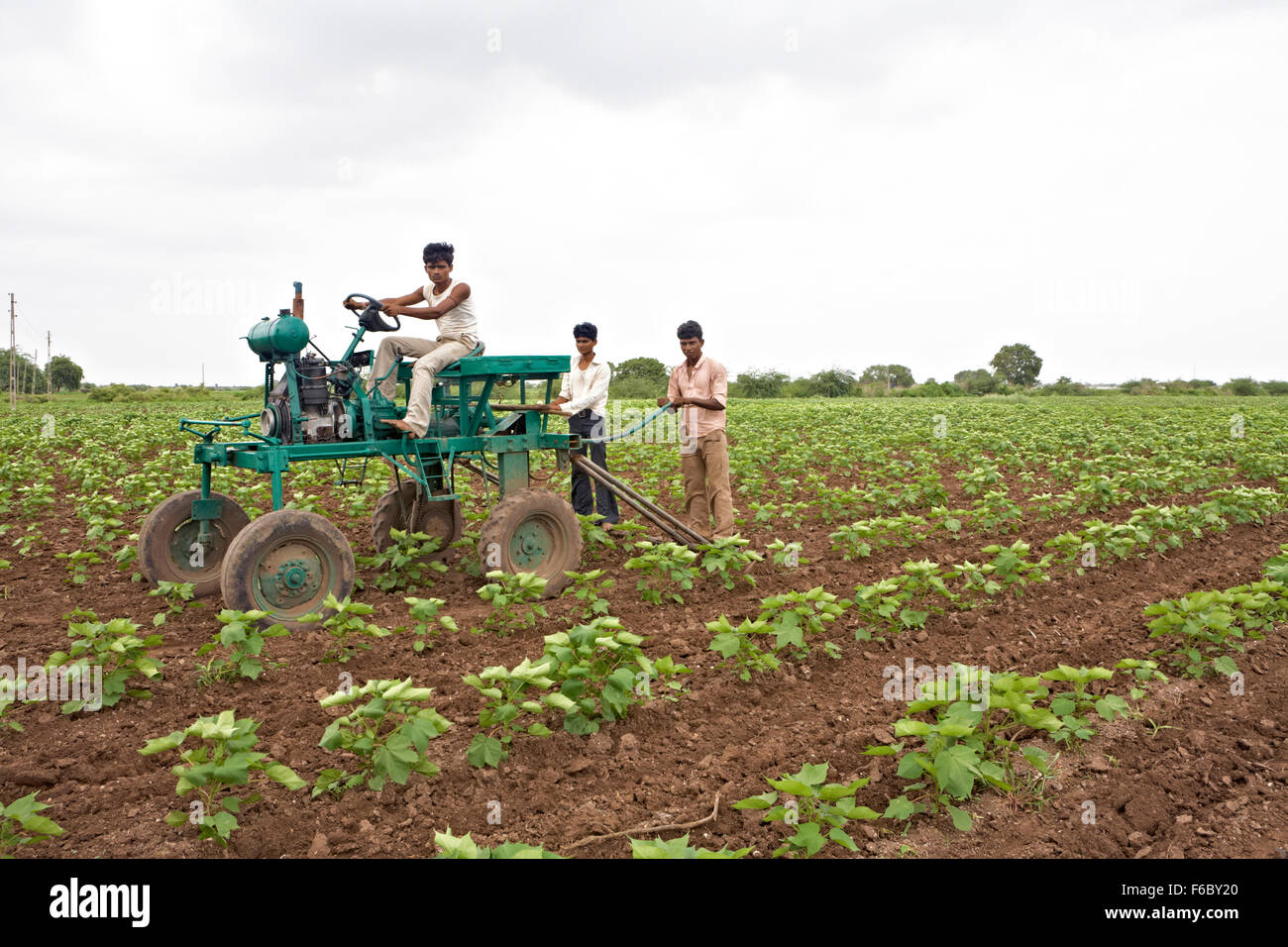 Farmer on tractor in field, gujarat, india, asia Stock Photo Alamy