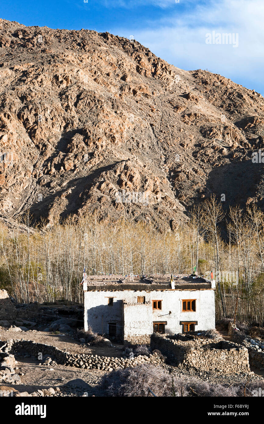 Houses, ladakh, jammu & kashmir, india, asia Stock Photo Alamy