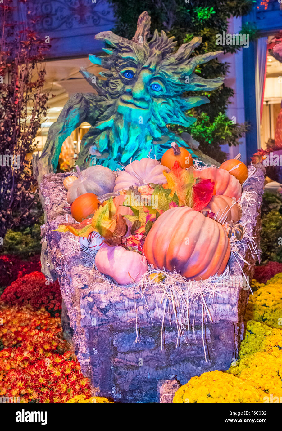 Fall season in Bellagio Hotel Conservatory & Botanical Gardens Stock Photo