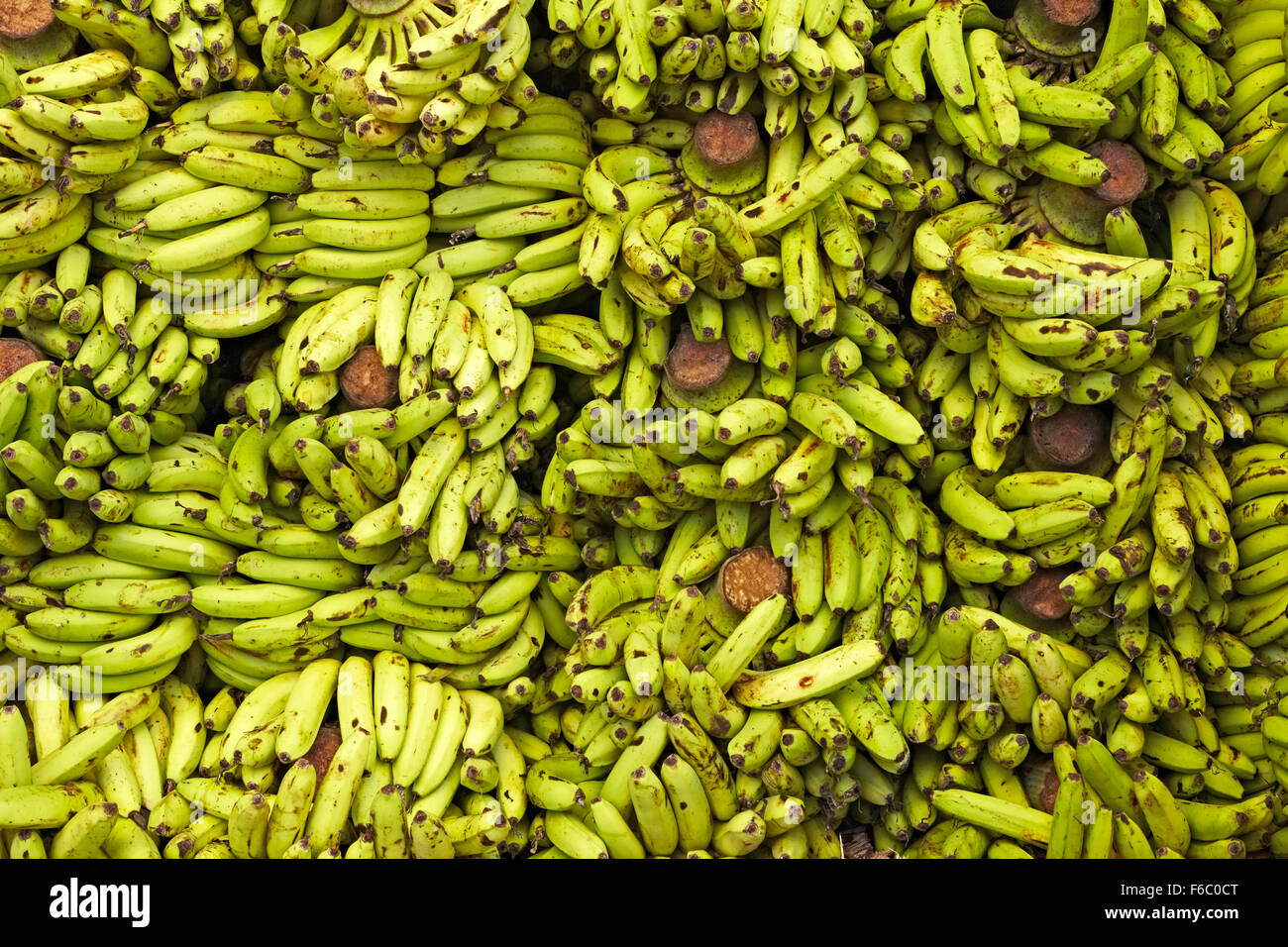 Kashmir fruits hires stock photography and images Alamy