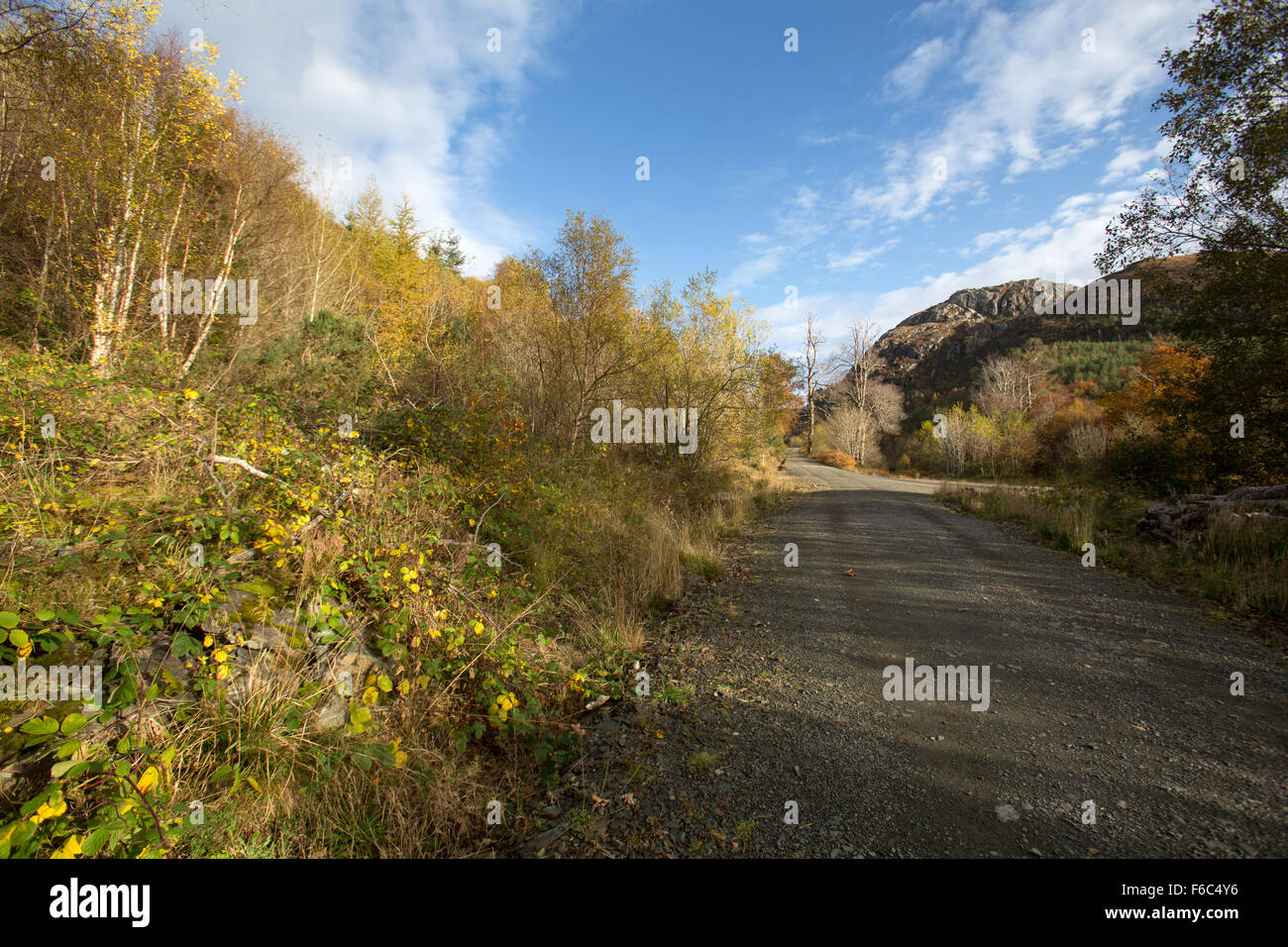 Village of Gairloch, Scotland. Picturesque autumnal view of the waymarked Flowerdale Glen path. Stock Photo