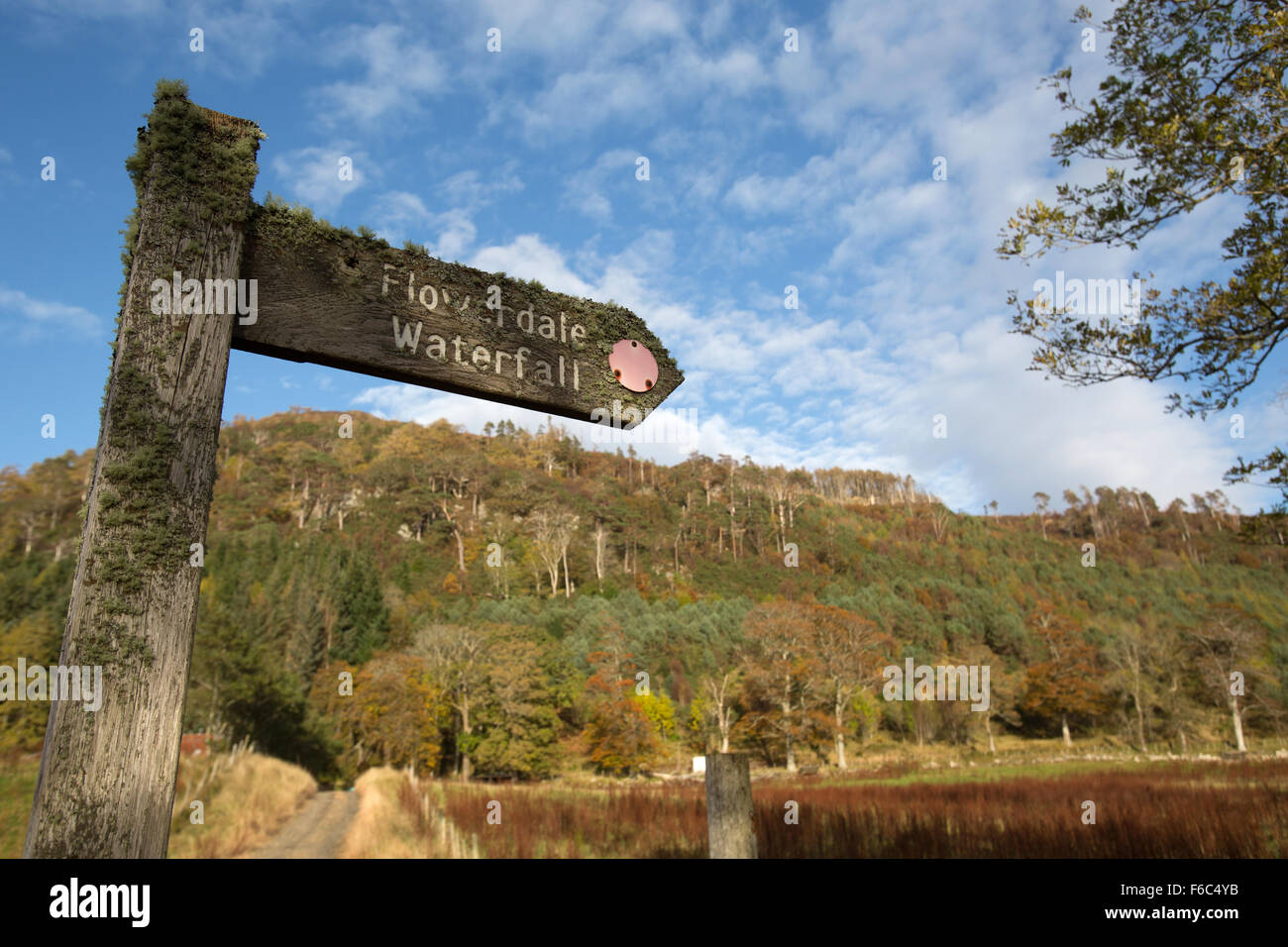 Village of Gairloch, Scotland. Picturesque autumnal view of the waymarked sign on the Flowerdale Glen path. Stock Photo
