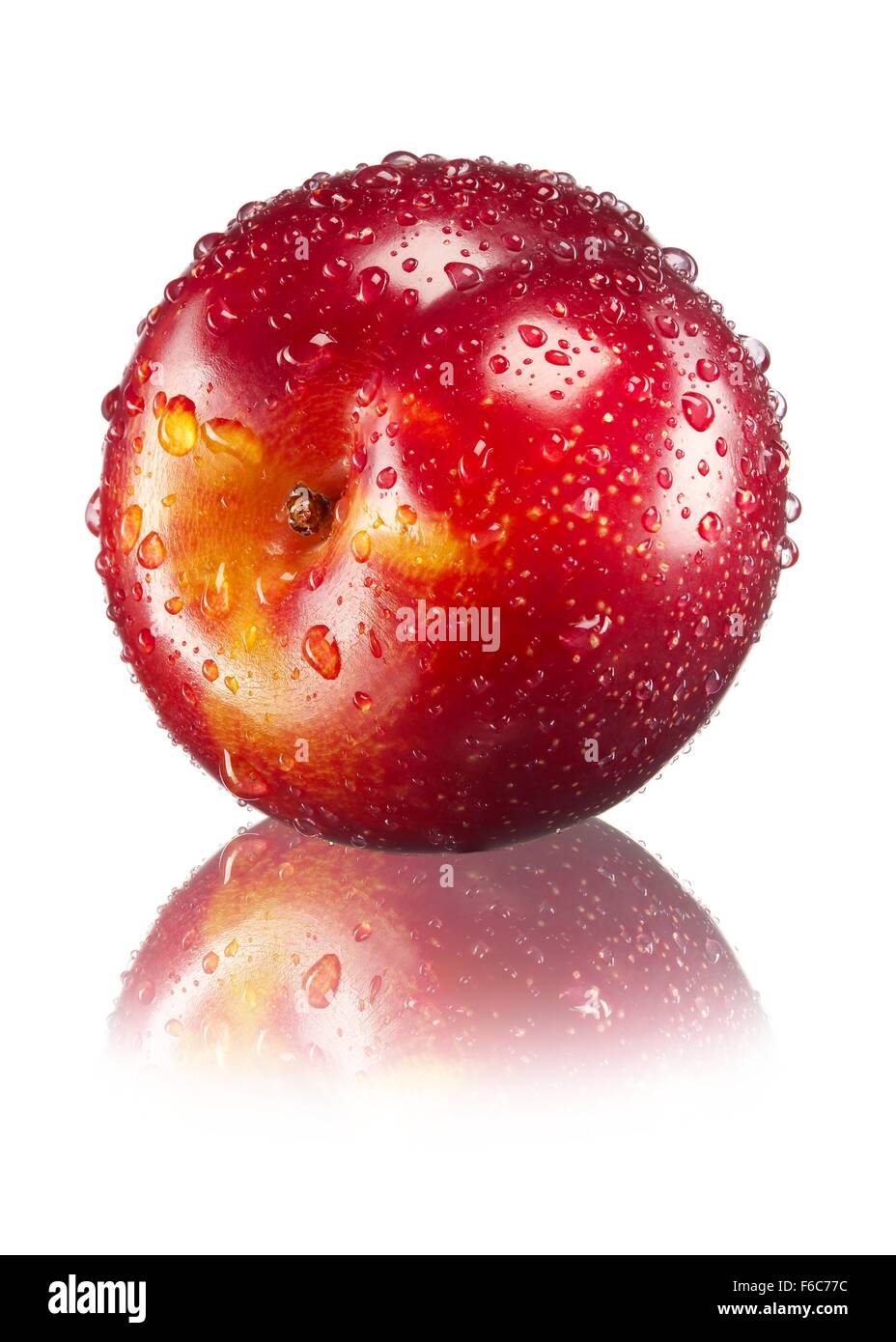 A red plum with water droplets Stock Photo Alamy